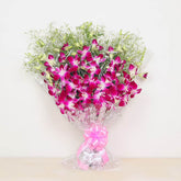 Just for Orchid